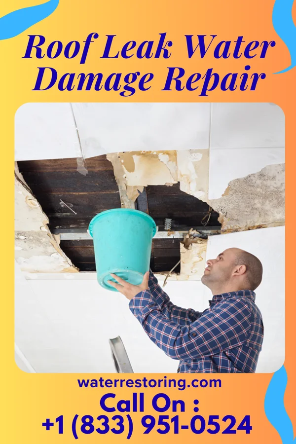 Roof Leak Water Damage Repair in Ridgeway, WI