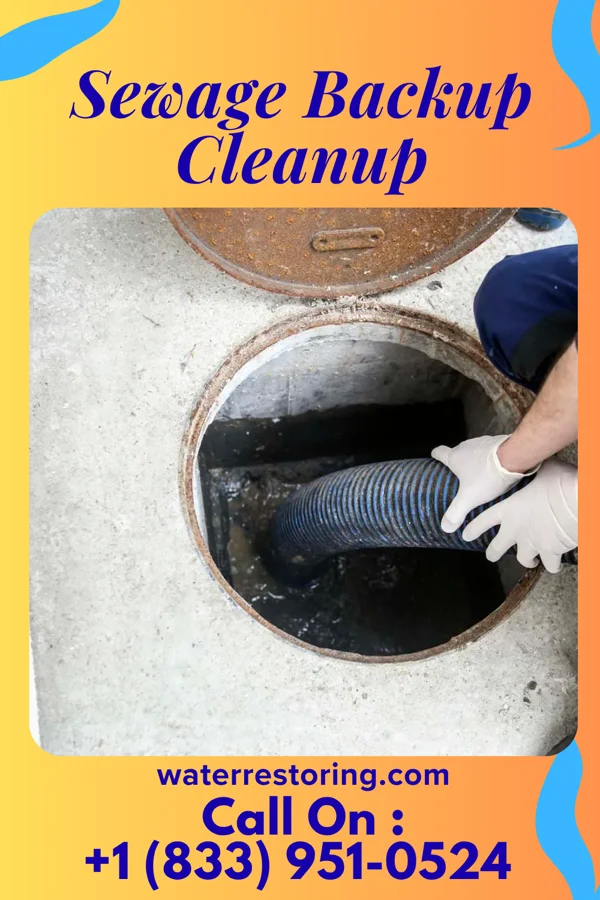 Sewage Backup Cleanup in Ridgeway, WI