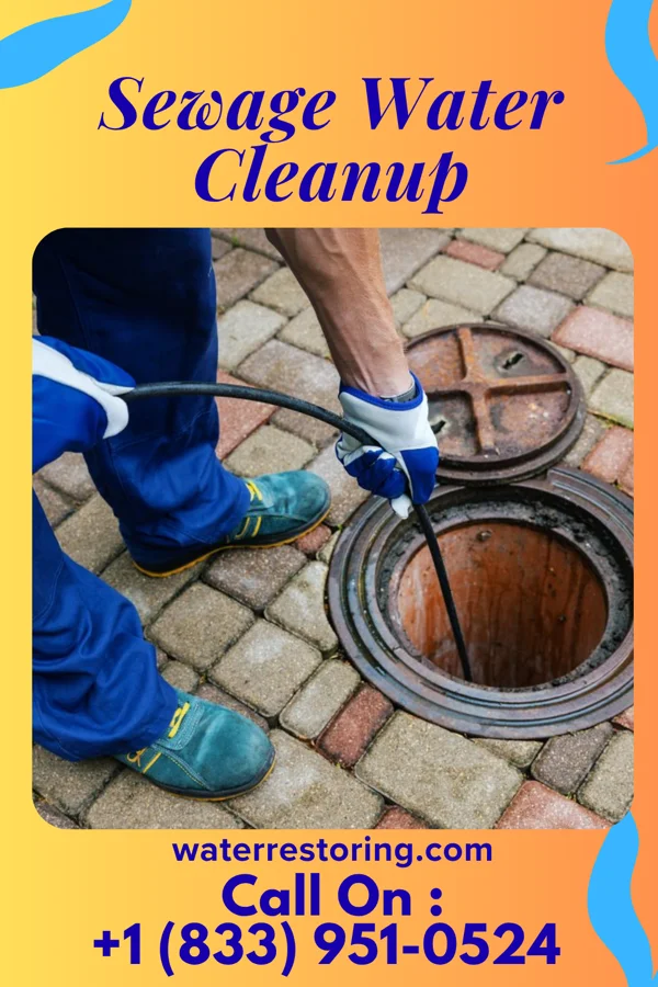 Sewage Water Cleanup in Ridgeway, WI