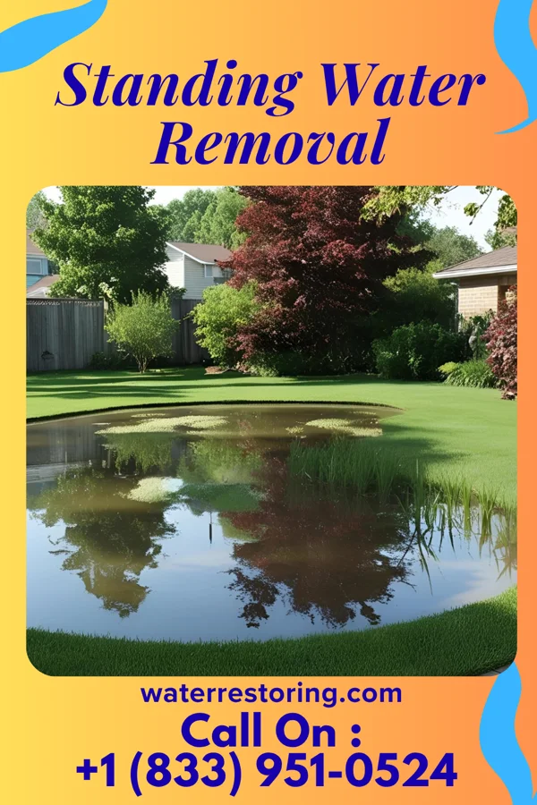 Standing Water Removal in Ridgeway, WI